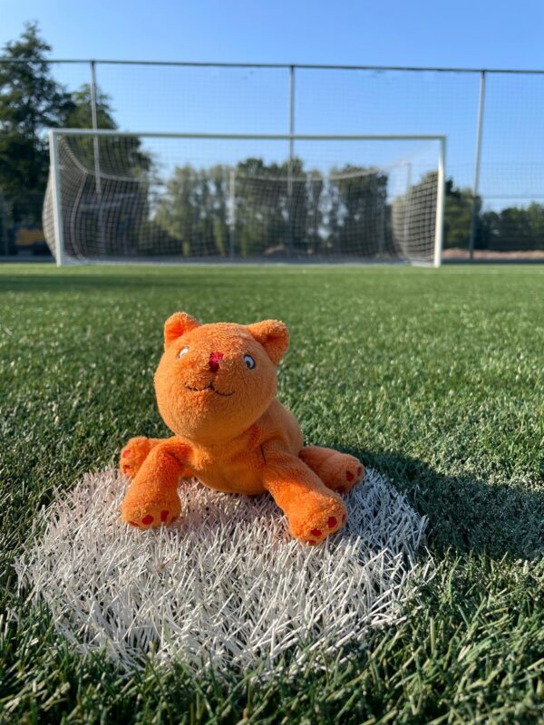 Whats App Image 2023 06 07 at 19 47 35