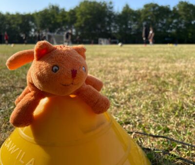 Whats App Image 2023 06 07 at 19 47 32