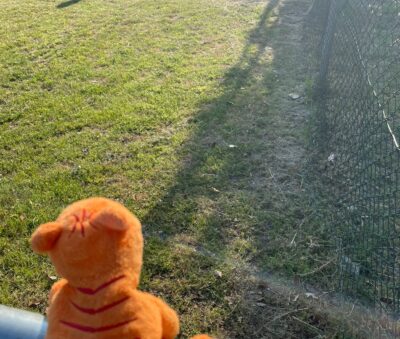 Whats App Image 2023 06 07 at 19 47 33 1