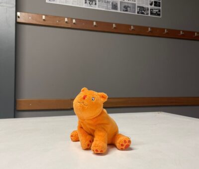 Whats App Image 2023 06 07 at 19 47 41